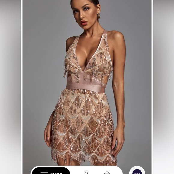 COPY - BNWT Bella Barnett Louisa Mini Dress Champagne Sz S - Picture 1 of 6